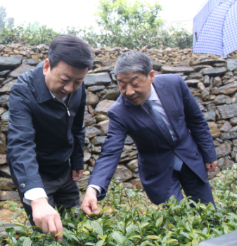 安康富硒茶引爆中國(guó)西部最牛茶專(zhuān)業(yè)展會(huì)(圖6)